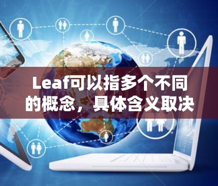 Leaf可以指多个不同的概念，具体含义取决于上下文。以下是一些可能的解释