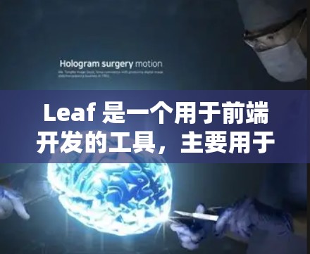 Leaf 是一个用于前端开发的工具，主要用于配置和管理项目。以下是Leaf配置教程的详细步骤