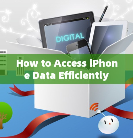 How to Access iPhone Data Efficiently