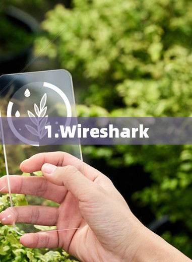 1.Wireshark