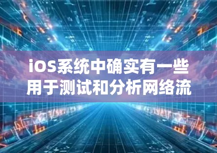 iOS系统中确实有一些用于测试和分析网络流量的工具。以下是一些常见的iOS测速工具及其特点
