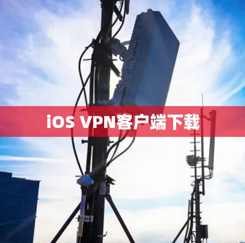 iOS VPN客户端下载