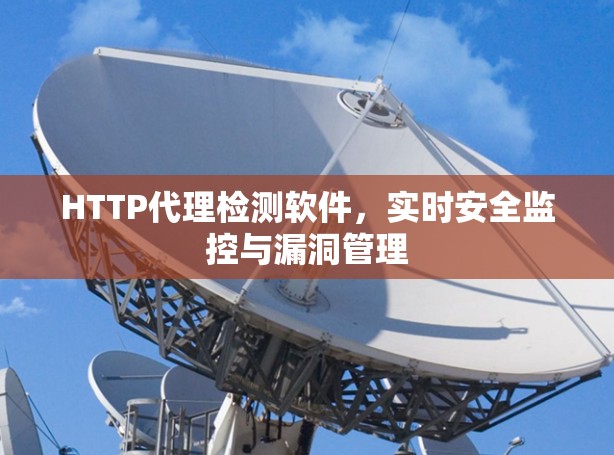 HTTP代理检测软件，实时安全监控与漏洞管理