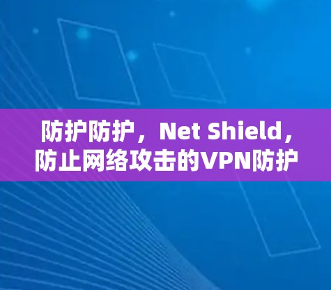 防护防护，Net Shield，防止网络攻击的VPN防护功能