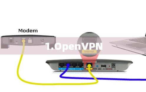 1.OpenVPN