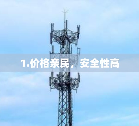 1.价格亲民，安全性高