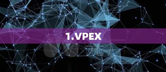 1.VPEX