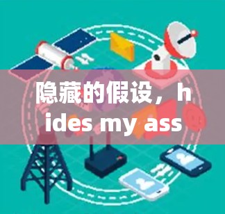 隐藏的假设，hides my assumption VPN下载与使用指南