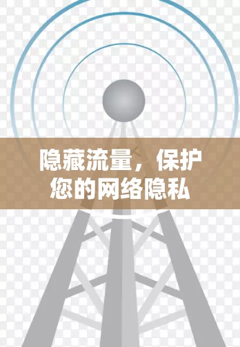 隐藏流量，保护您的网络隐私