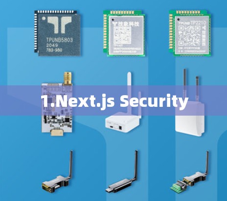 1.Next.js Security