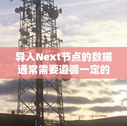 导入Next节点的数据通常需要遵循一定的规范和格式，以确保数据的质量和结构正确。以下是一些关键步骤和注意事项