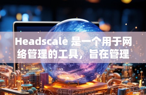 Headscale 是一个用于网络管理的工具，旨在管理网络设备、配置网络设置以及进行监控和安全检查。以下是一些详细的 Headscale 网络设置指南