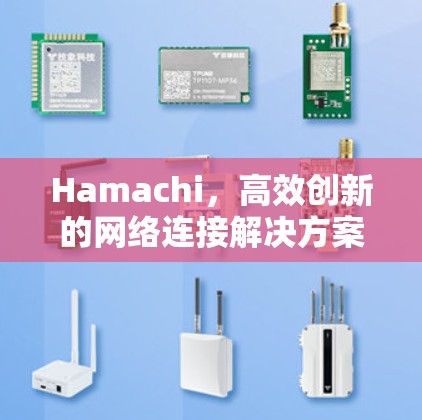 Hamachi，高效创新的网络连接解决方案