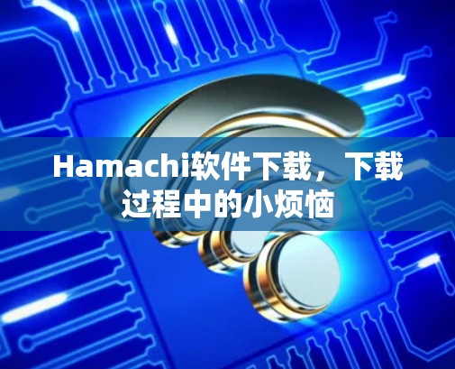 Hamachi软件下载,下载过程中的小烦恼 Hamachi软件下载,下载过程中的小烦恼