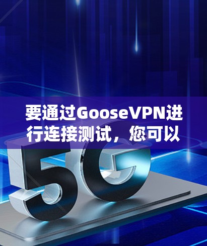 要通过GooseVPN进行连接测试，您可以按照以下步骤操作
