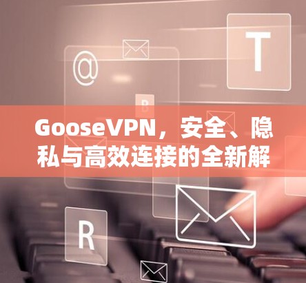 GooseVPN，安全、隐私与高效连接的全新解决方案