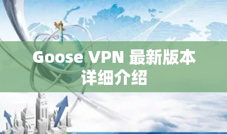 Goose VPN 最新版本详细介绍