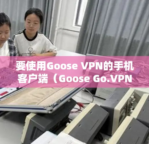 要使用Goose VPN的手机客户端（Goose Go.VPN）进行VPN连接，请按照以下步骤操作