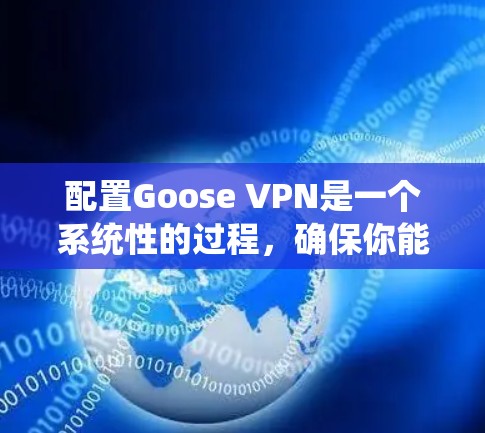 配置Goose VPN是一个系统性的过程，确保你能够有效地远程访问Web服务器。以下是一个详细且结构化的配置指南，帮助你顺利完成