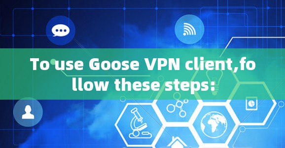 To use Goose VPN client,follow these steps:
