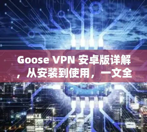 Goose VPN 安卓版详解，从安装到使用，一文全解析