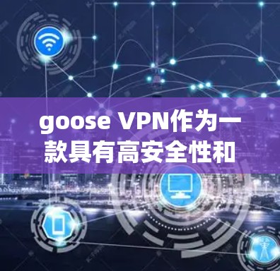 goose VPN作为一款具有高安全性和隐私保护功能的VPN工具，其主要的安全措施和隐私保护细节如下