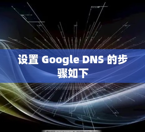 设置 Google DNS 的步骤如下