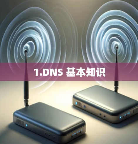 1.DNS 基本知识
