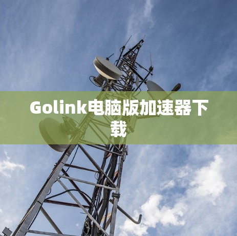 Golink电脑版加速器下载