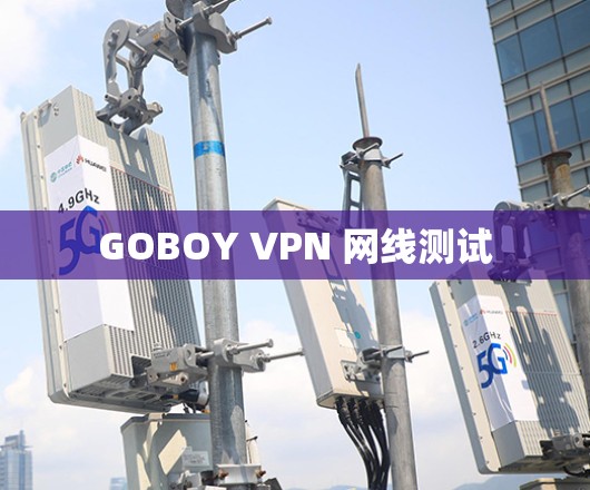 GOBOY VPN 网线测试