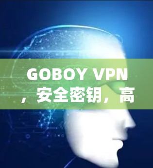 GOBOY VPN，安全密钥，高效防护