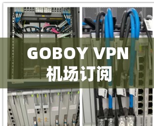 GOBOY VPN 机场订阅
