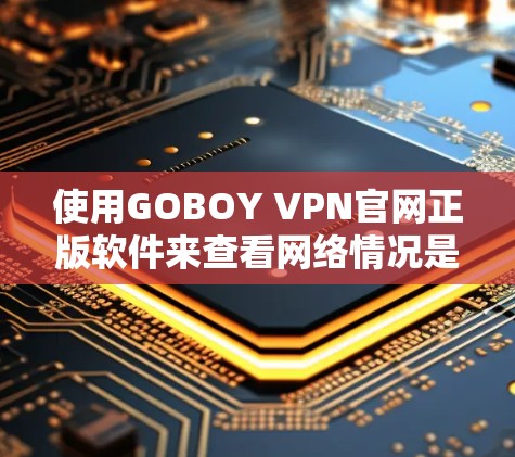 使用GOBOY VPN官网正版软件来查看网络情况是可行的，但需注意以下几点以确保安全和合法