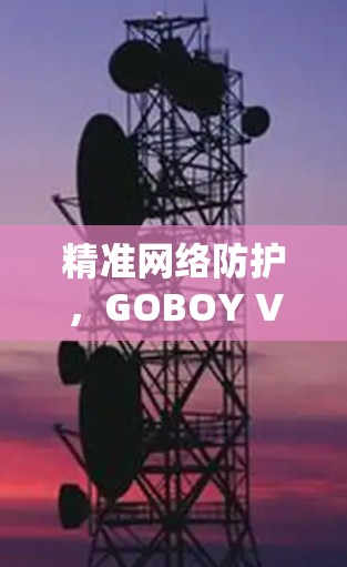 精准网络防护，GOBOY VPN为您的网络安全护云