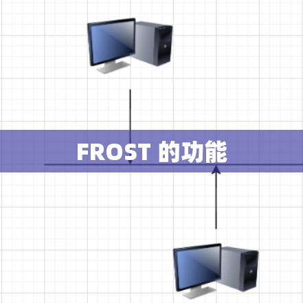 FROST 的功能