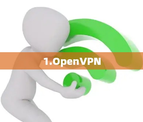 1.OpenVPN 1.OpenVPN