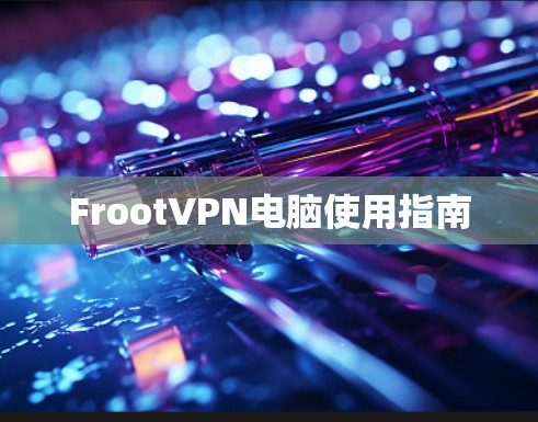 FrootVPN电脑使用指南