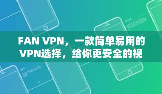 FAN VPN，一款简单易用的VPN选择，给你更安全的视频会议体验