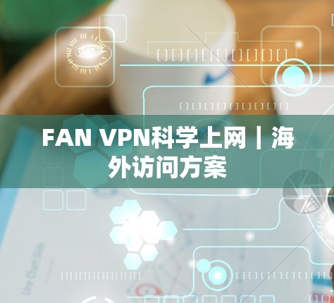 FAN VPN科学上网｜海外访问方案