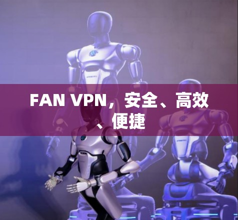FAN VPN，安全、高效、便捷