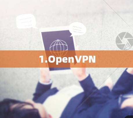 1.OpenVPN