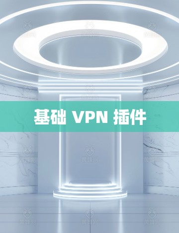 基础 VPN 插件