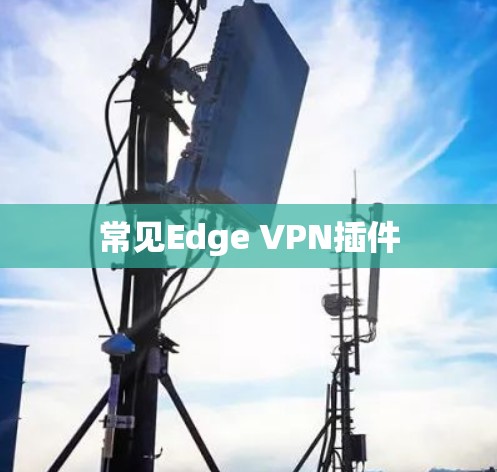 常见Edge VPN插件