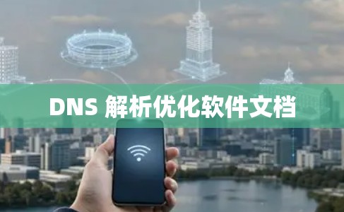 DNS 解析优化软件文档