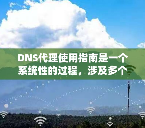 DNS代理使用指南是一个系统性的过程，涉及多个方面，从基本配置到高级功能，再到安全和扩展。以下是对DNS代理使用指南的详细总结和步骤