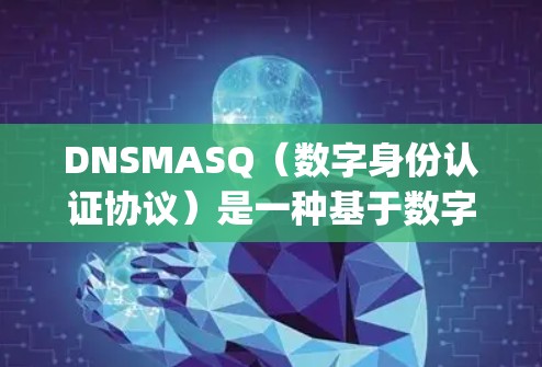 DNSMASQ（数字身份认证协议）是一种基于数字签名和身份验证的协议，常用于身份验证和认证。以下是DNSMASQ规则设置的关键部分，organized for clarity: