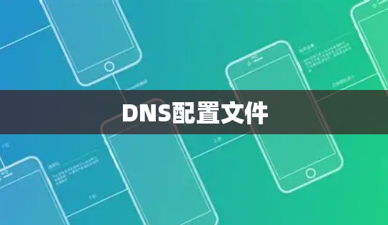 DNS配置文件