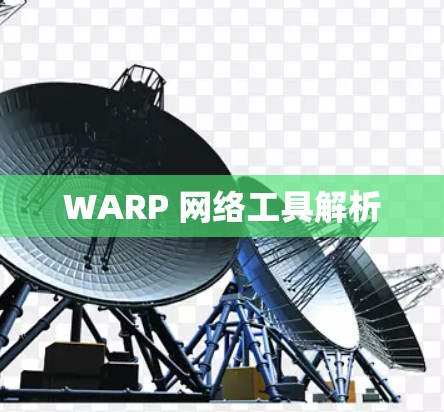 WARP 网络工具解析