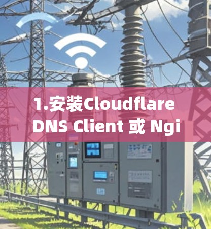 1.安装Cloudflare DNS Client 或 Nginx