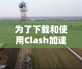 为了下载和使用Clash加速器，您可以按照以下步骤进行操作